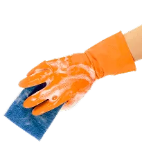 Discover the Best Cleaning Services for Your Home - 蓝鲸体育