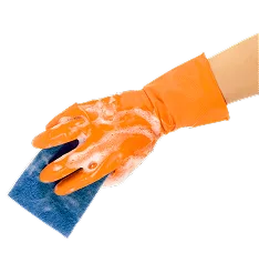 Where Cleanliness meets Care Services - 蓝鲸体育